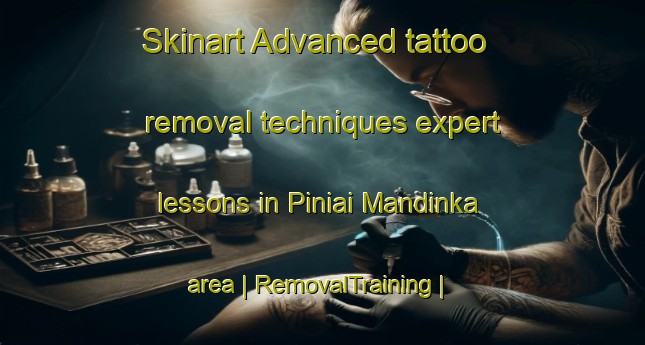 Skinart Advanced tattoo removal techniques expert lessons in Piniai Mandinka area | RemovalTraining | RemovalClasses | SkinartTraining-Gambia